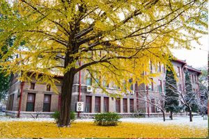 山東大學趵突泉校區